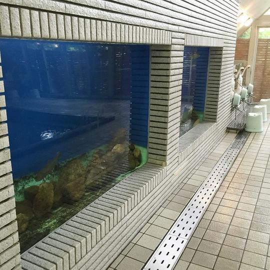 Kankoso Katashina Exteriör bild