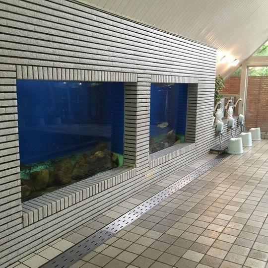 Kankoso Katashina Exteriör bild